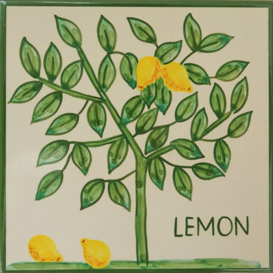 Casa Monte Cristo Apartments - Lemon Lagos Buitenkant foto